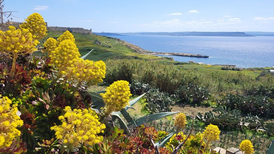 Gozo 