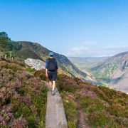 Glenealo Valley in Wicklow Gebierge