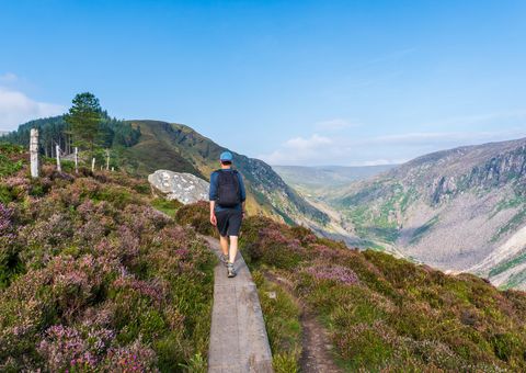 Glenealo Valley in Wicklow Gebierge