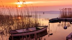 Boote auf dem Plattensee