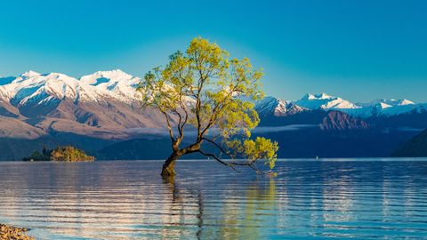 Lake Wanaka