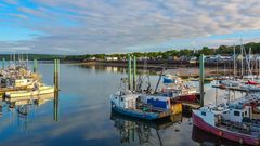 Digby, Hafen mit Booten ©valleyboi63, AdobeStock Digby, Hafen mit Booten