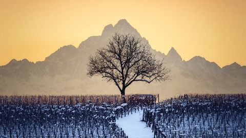 Winter in der Langhe-Region