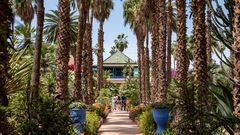 Jardin Majorelle, Marrakesch