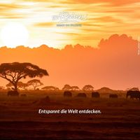 Fernreise Afrika