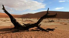 Deadvlei