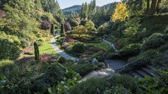 Butchart Gardens